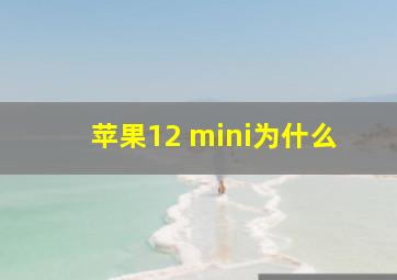 苹果12 mini为什么